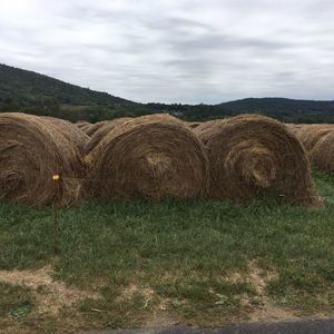 Meet your Posher, Vida